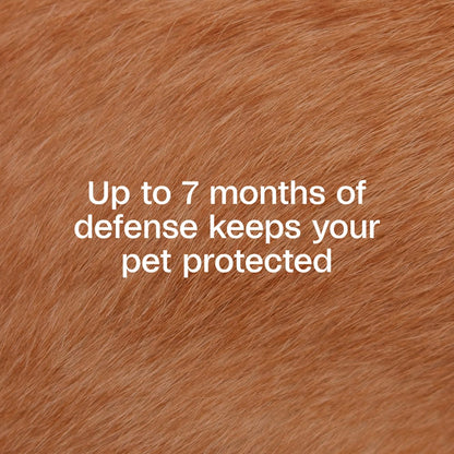 Adams Plus Flea & Tick Collar for Dogs | Water-Resistant | 7-Month Protection