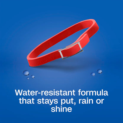 Adams Plus Flea & Tick Collar for Dogs | Water-Resistant | 7-Month Protection