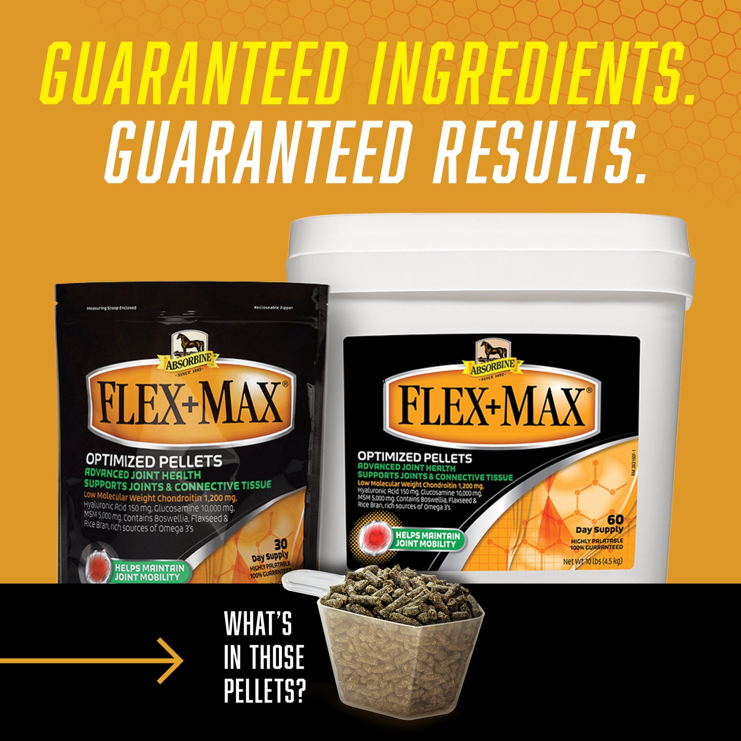 Absorbine Flex+Max – Joint Health Supplement Pellets | Horses & Dogs | 5 lb