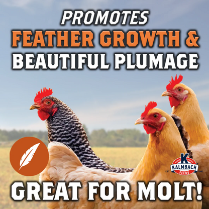 Kalmbach Full Plume Feathering 20% Protein Layer Chicken Pellet 50 lb
