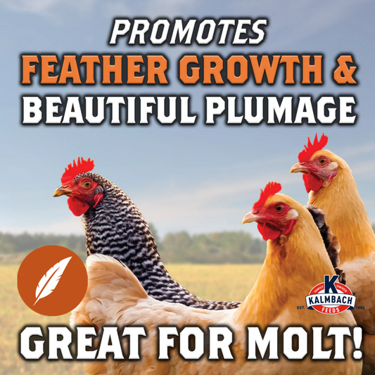Kalmbach Full Plume Feathering 20% Protein Layer Chicken Pellet 50 lb