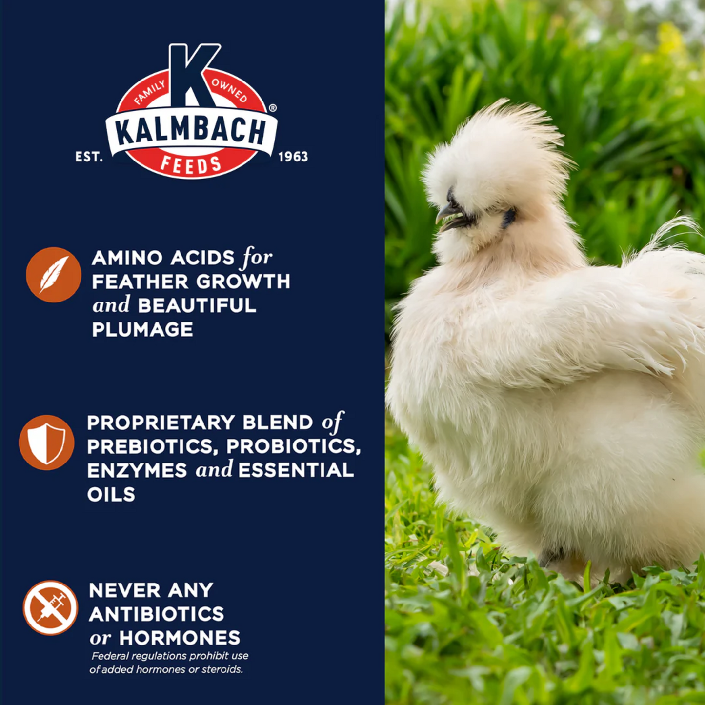 Kalmbach Full Plume Feathering 20% Protein Layer Chicken Pellet 50 lb