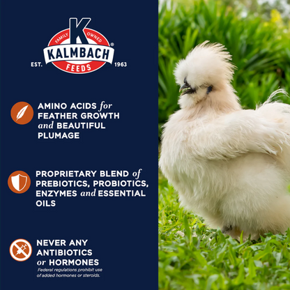 Kalmbach Full Plume Feathering 20% Protein Layer Chicken Pellet 50 lb