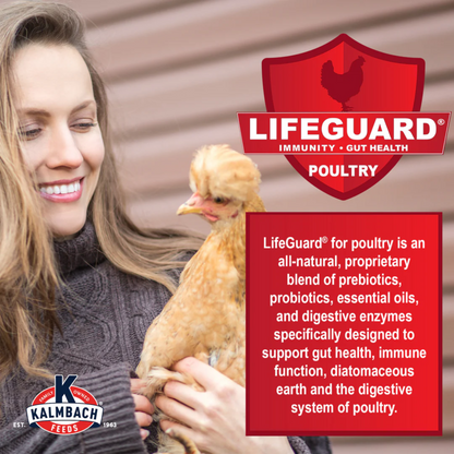 Kalmbach Full Plume Feathering 20% Protein Layer Chicken Pellet 50 lb