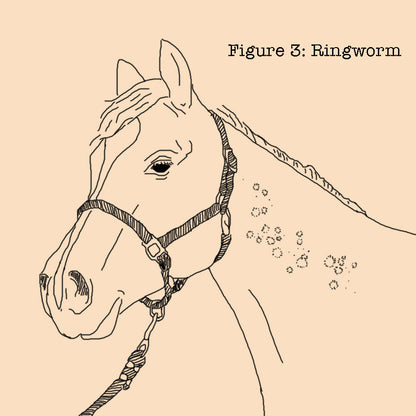 Absorbine Fungasol Ointment | Treats Equine & Livestock Skin Conditions | 13 oz