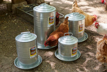Little Giant Double Wall Metal Poultry Fount | Galvanized Steel Chicken Waterer