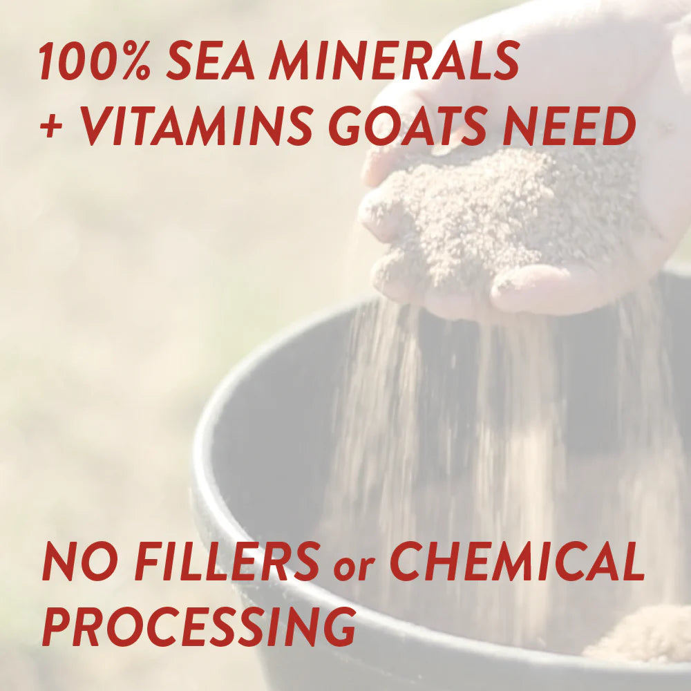 Redmond Goat Mineral | Natural Salt & Mineral Mix for Goats