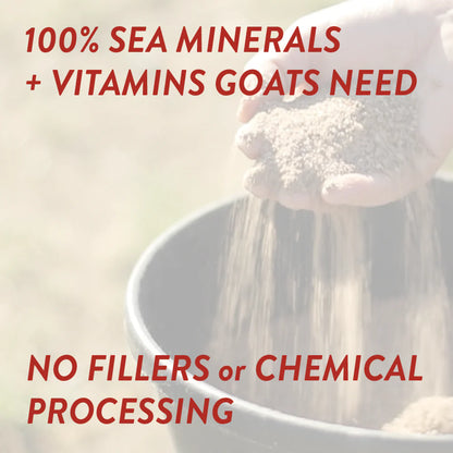 Redmond Goat Mineral | Natural Salt & Mineral Mix for Goats