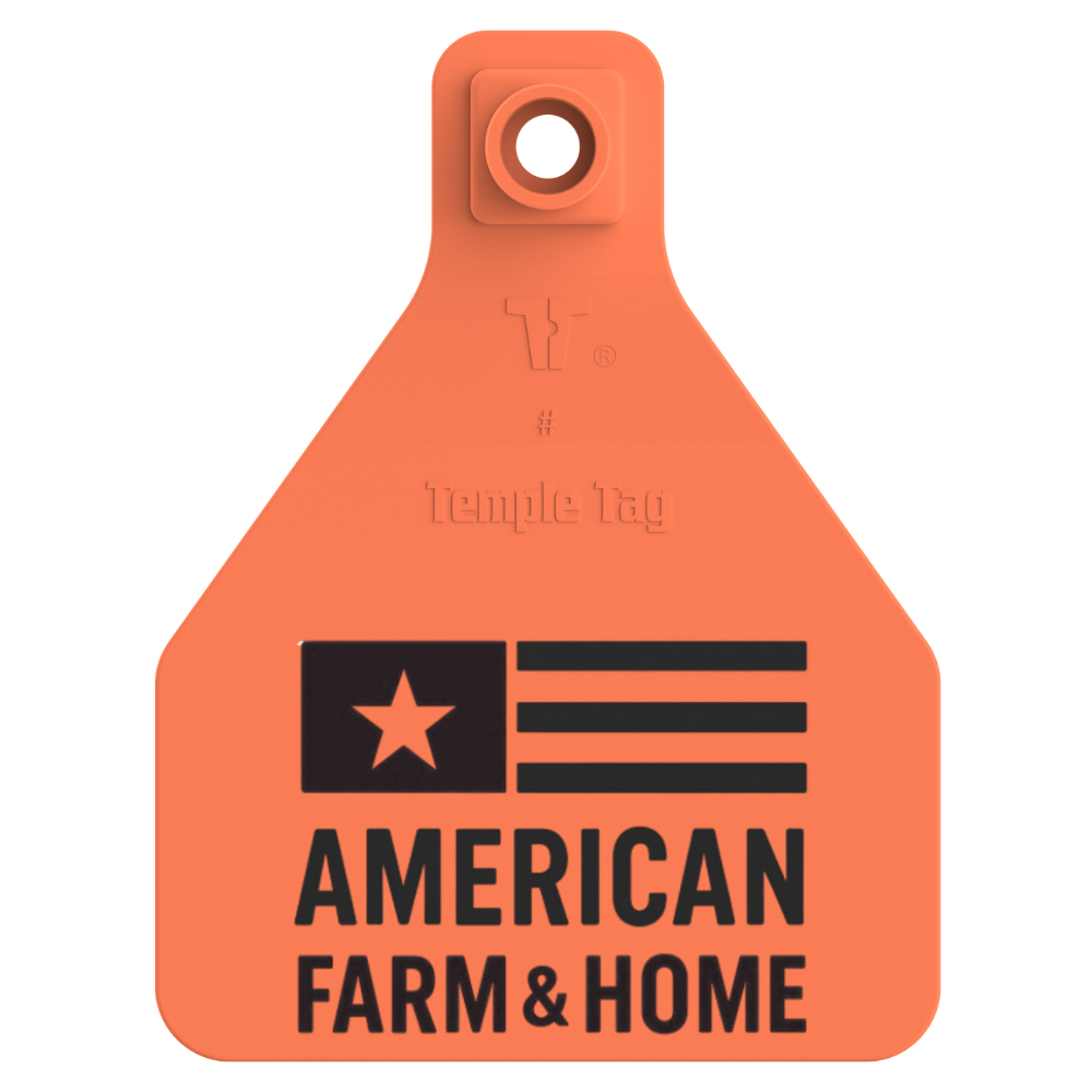Temple (Z Tags) Herdsman Two-Piece Calf ID Ear Tag | Custom Print