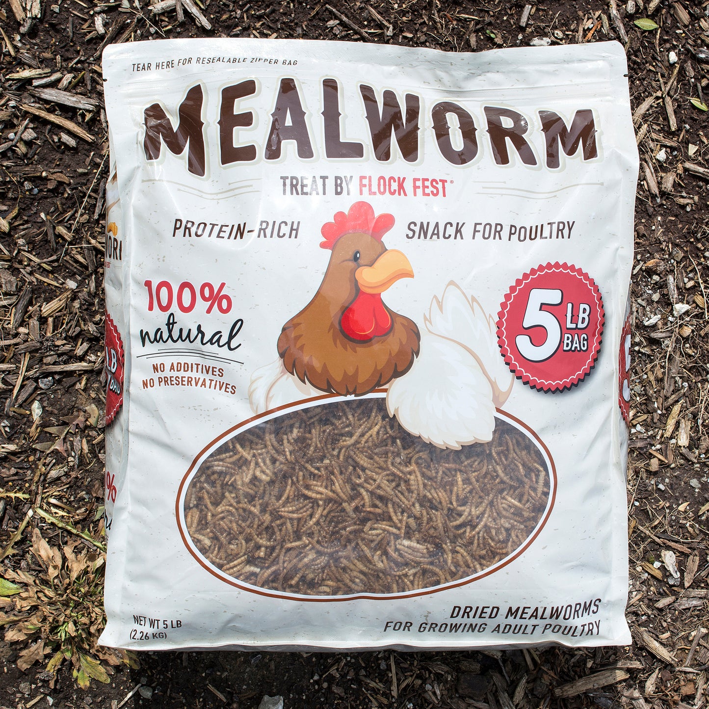 Flock Fest Dried Mealworms | High-Protein Poultry Treat | 5 lb Resealable Bag
