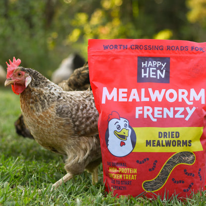 Happy Hen Mealworm Frenzy | Dried Mealworm Treat for Chickens