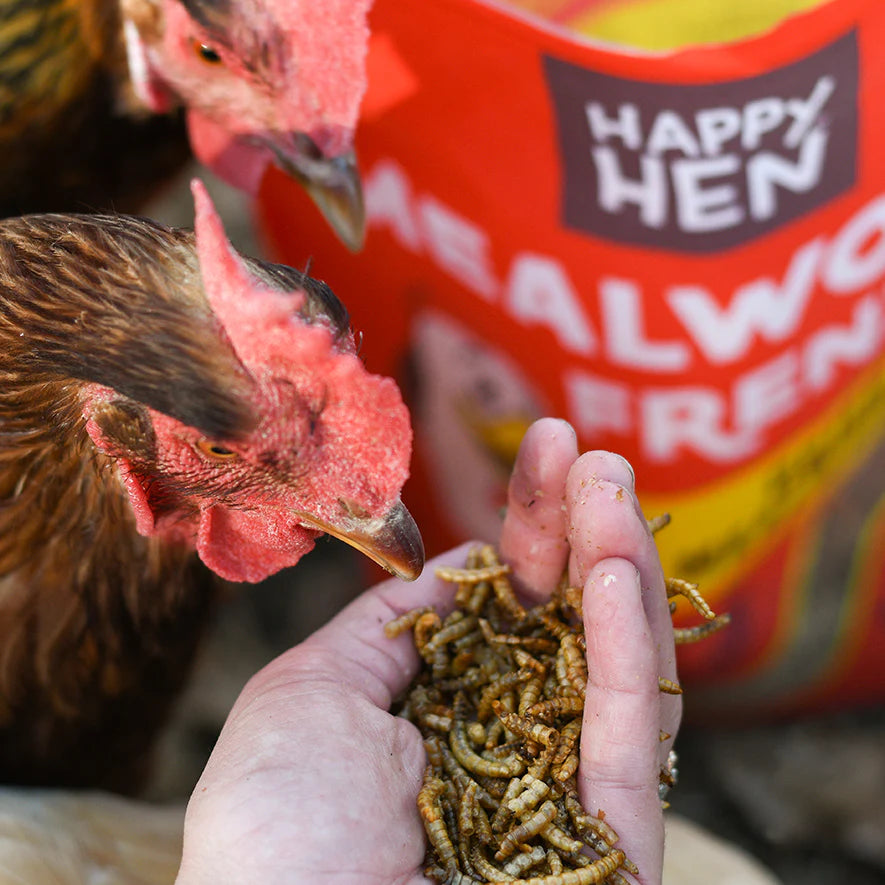 Happy Hen Mealworm Frenzy | Dried Mealworm Treat for Chickens