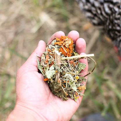 Happy Hen Bedtime Bundle | Laying Hen Starter Kit | Nesting Box, Pads & Treats