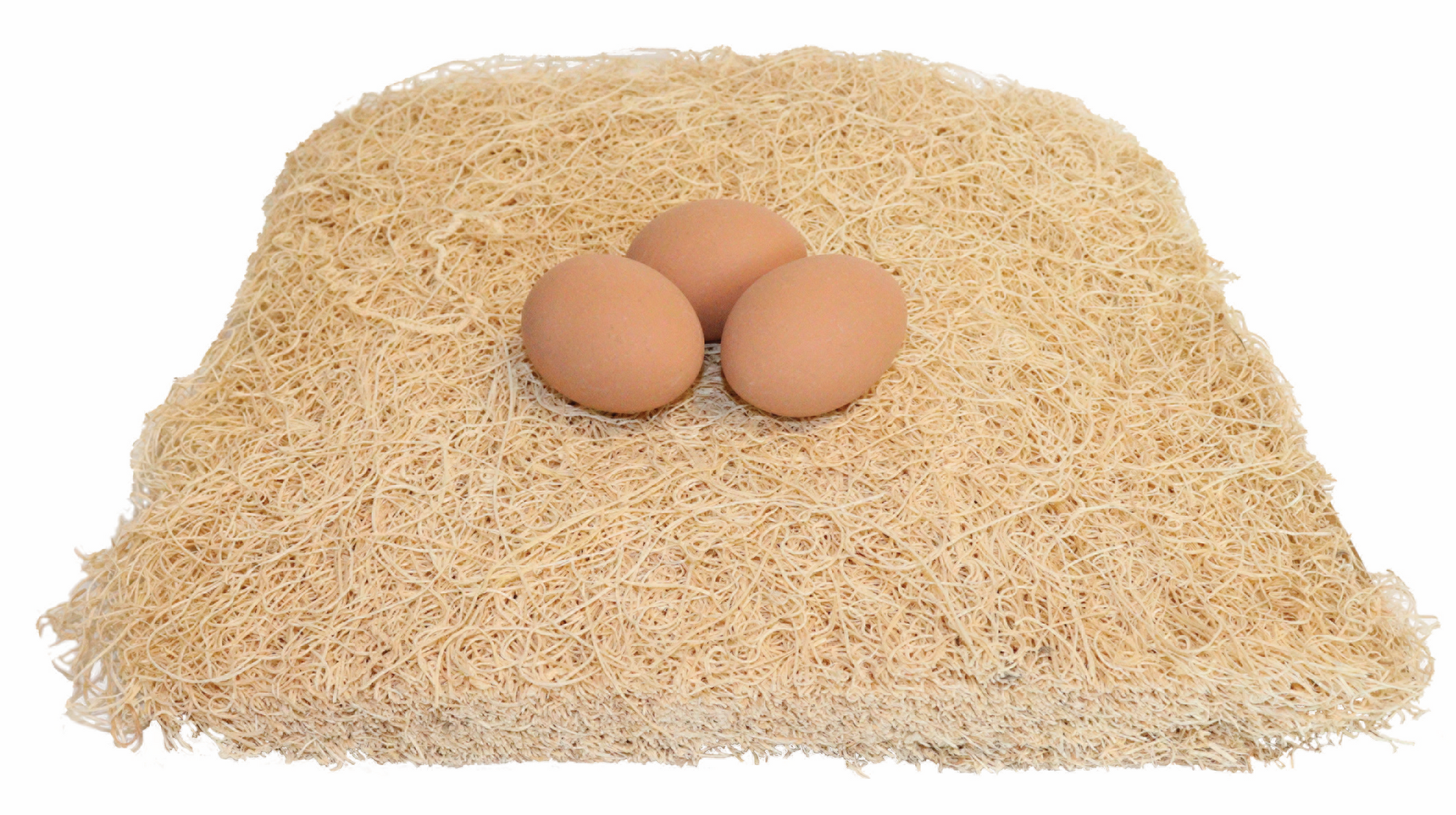 Little Giant Fiber Poultry Nesting Pads | Chicken Coop Nest Box Liners | 10 Pack 
