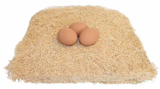Little Giant Fiber Poultry Nesting Pads | Chicken Coop Nest Box Liners | 10 Pack 