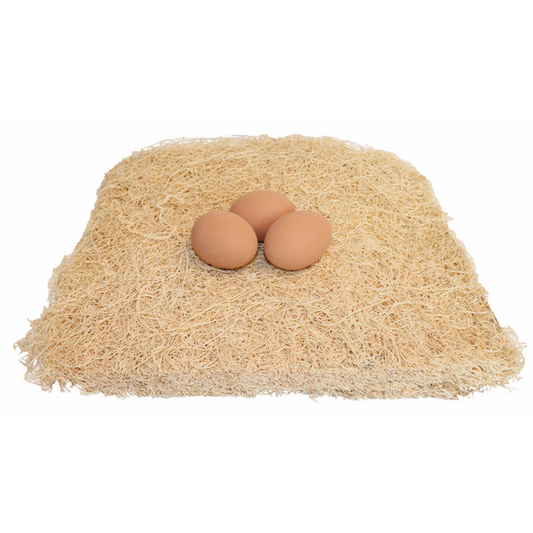 Little Giant Fiber Poultry Nesting Pads | Chicken Coop Nest Box Liners | 10 Pack