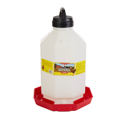 Little Giant Plastic Automatic Poultry Waterer | Durable Top-Fill Chicken Waterer