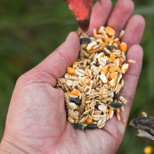 Happy Hen Party Time Mix | Worm & Oat Treat for Chickens | 2 lb