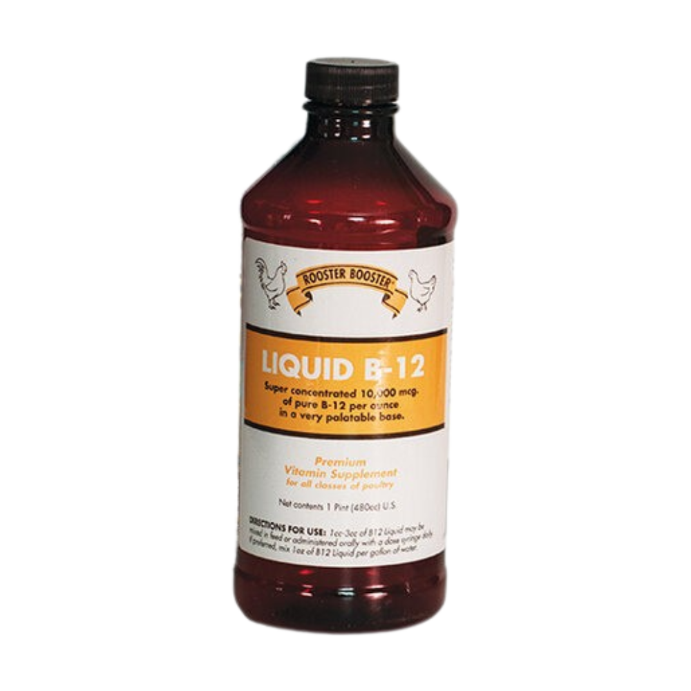 Rooster Booster Liquid B-12 | Poultry Vitamin Supplement | 16 oz