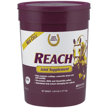 Reach Joint Supplement Pellets for Horses, Supports Healthy Joints 2.8 lb.