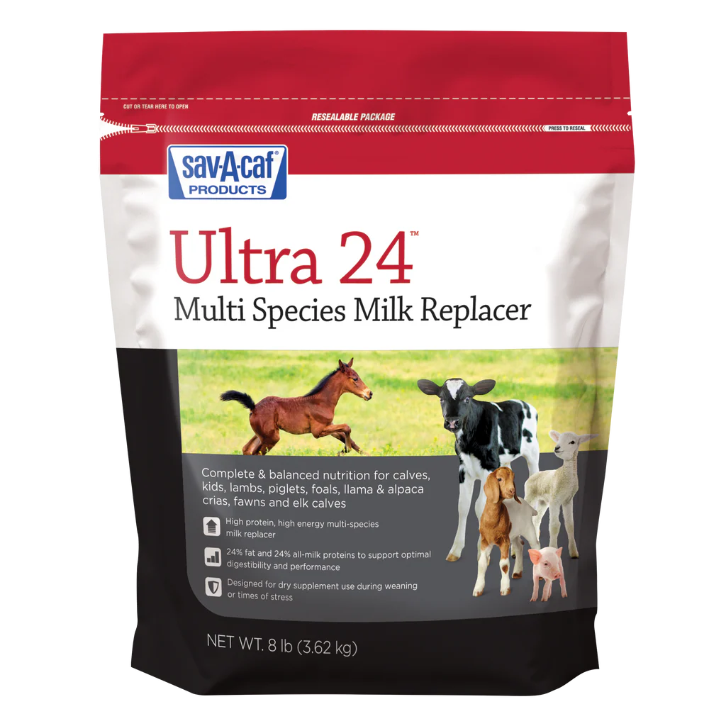 Sav-A-Caf Ultra 24 Multi-Species Milk Replacer | Complete Nutrition for Young Animals | 8 lb