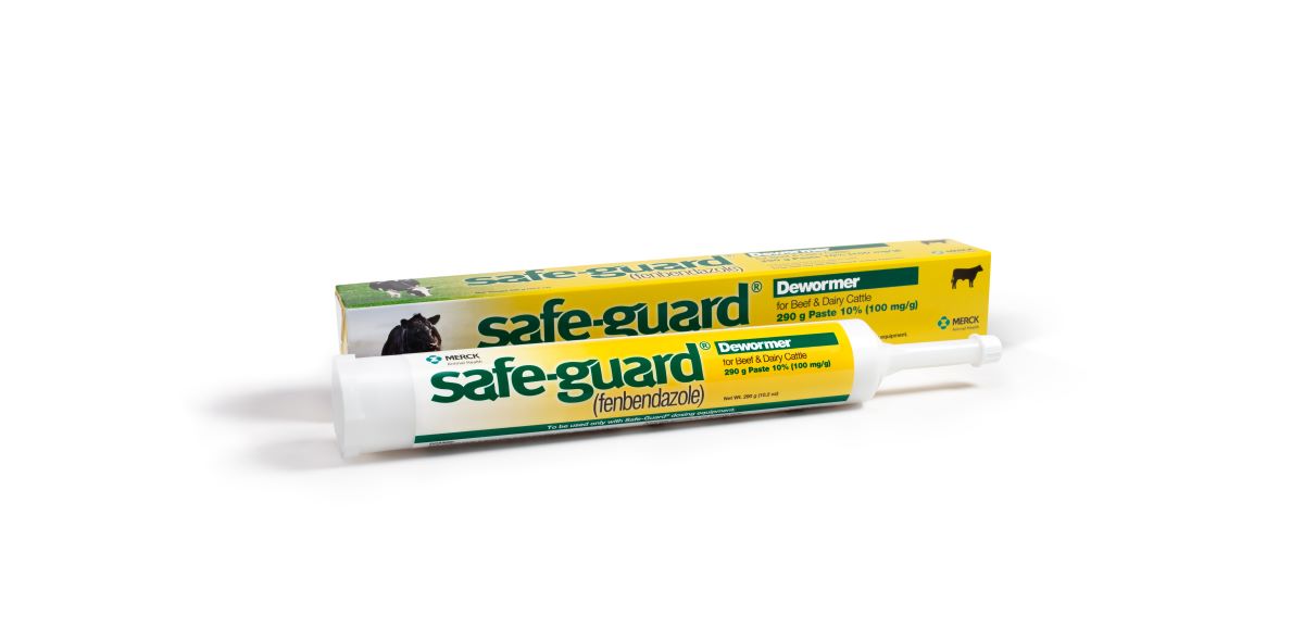 Merck Safe-Guard Paste 10% – Dewormer for Cattle | Fenbendazole 290g Syringe
