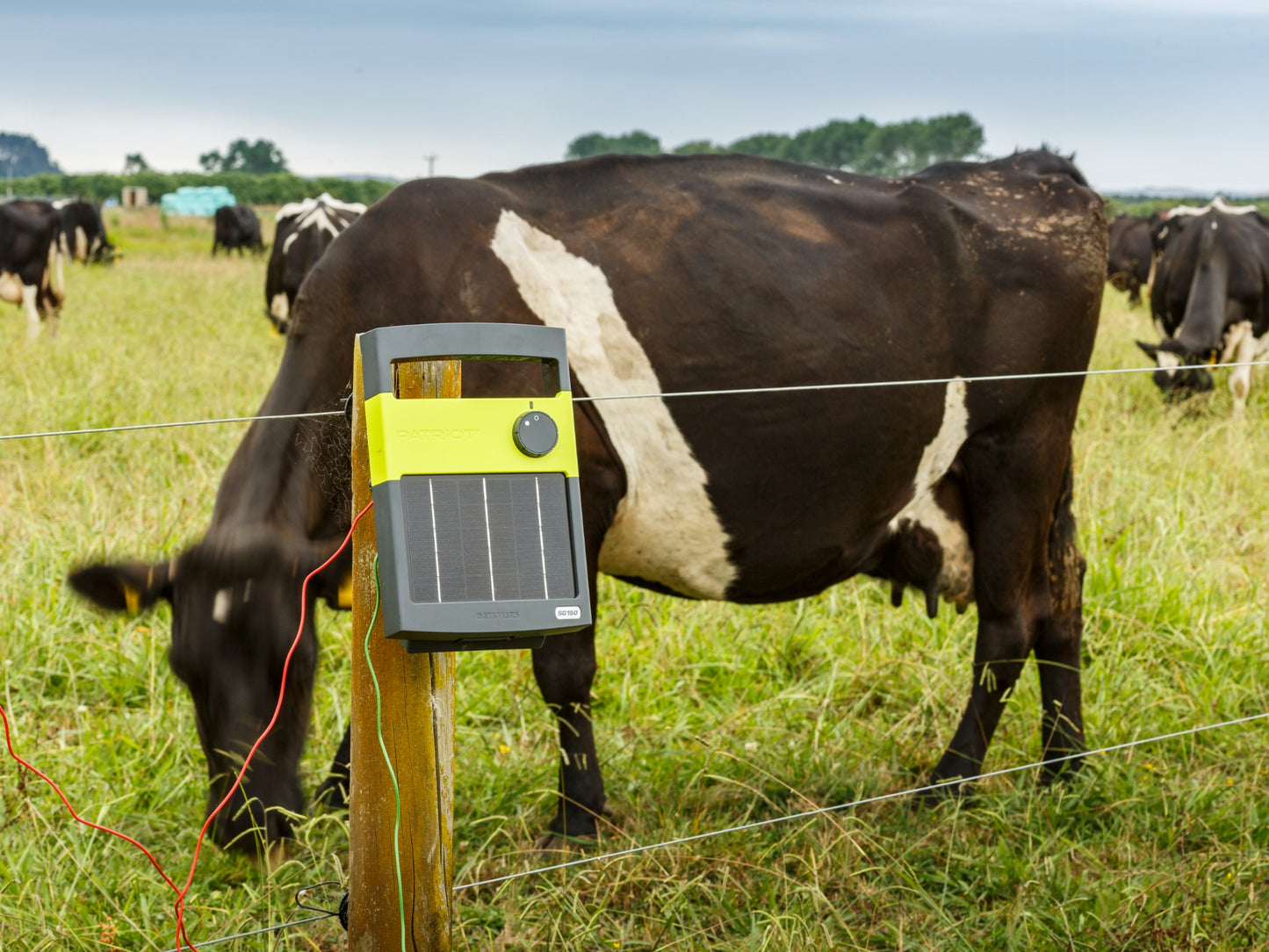 Patriot SG150 Solar Electric Fence Charger - 6V Battery, .15J, 12 Mile