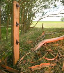 Speedrite Black Wood Post Claw Electric Fence Insulator - 25 Pack