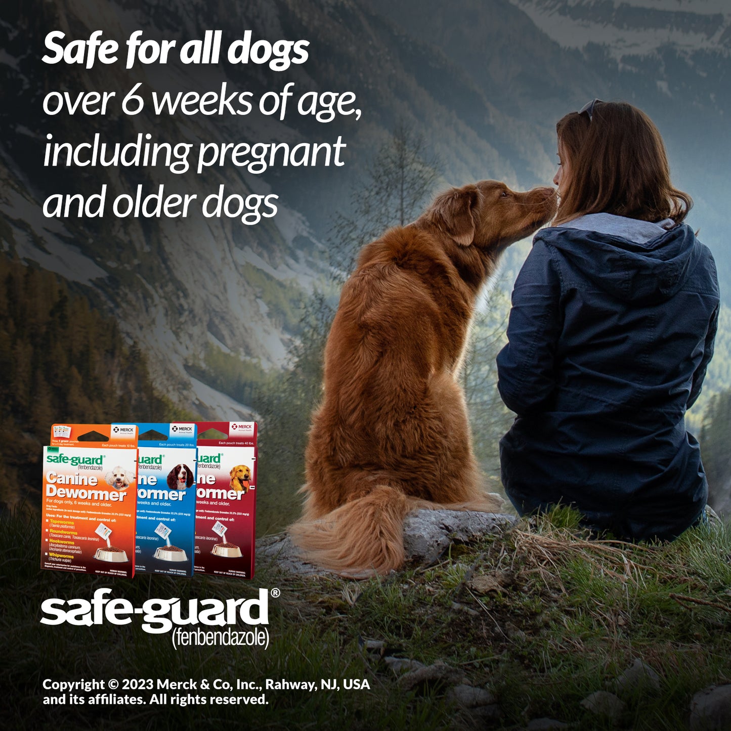 Safeguard Canine Dewormer 22.2% Fenbendazole | Treats Roundworms, Hookworms & Tapeworms