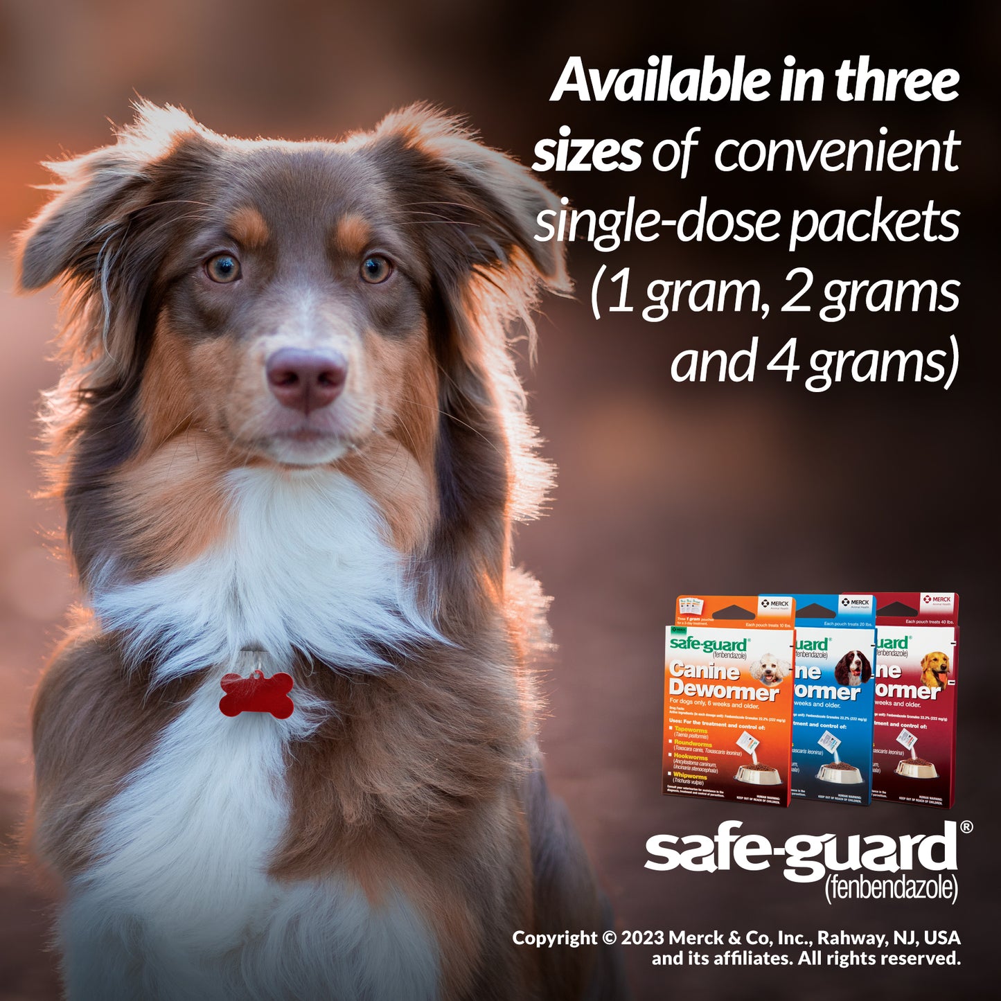 Safeguard Canine Dewormer 22.2% Fenbendazole | Treats Roundworms, Hookworms & Tapeworms