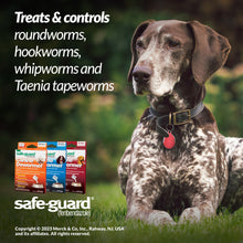 Safeguard Canine Dewormer 22.2% Fenbendazole | Treats Roundworms, Hookworms & Tapeworms