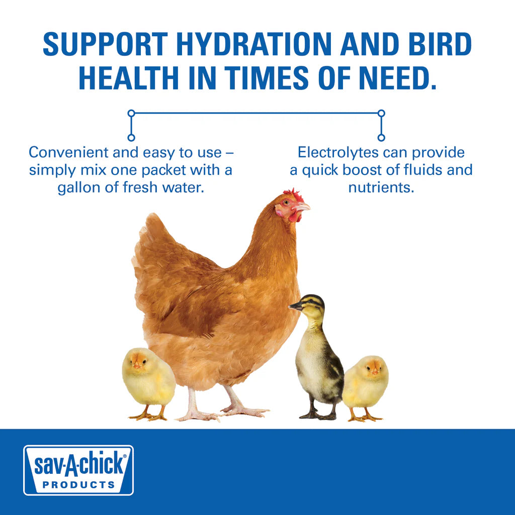 Sav-A-Chick Electrolyte & Vitamin Supplement | Poultry Hydration & Stress Support | 3 Pack