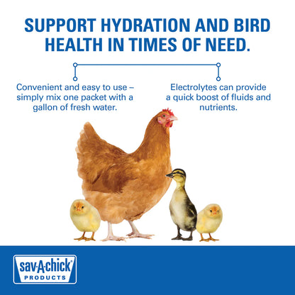 Sav-A-Chick Electrolyte & Vitamin Supplement | Poultry Hydration & Stress Support | 3 Pack