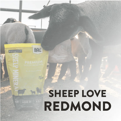 Redmond Premium Sheep Mineral | Natural Salt, Vitamin & Mineral Mix