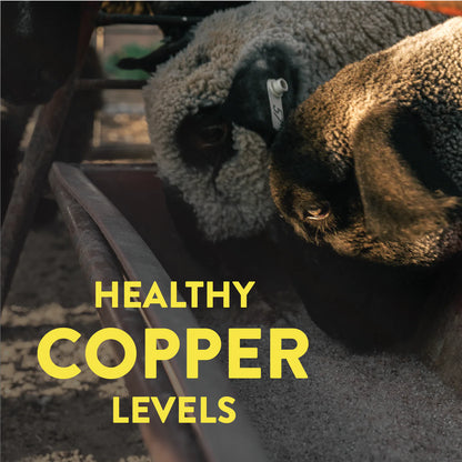 Redmond Premium Sheep Mineral | Natural Salt, Vitamin & Mineral Mix