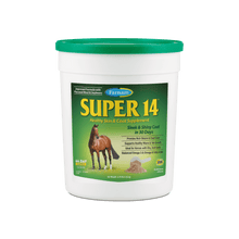 Farnam Super 14 Healthy Skin & Coat Supplement for Horses, Powder