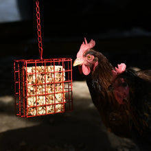 Happy Hen Treat Square Basket | Hanging Chicken Treat Holder