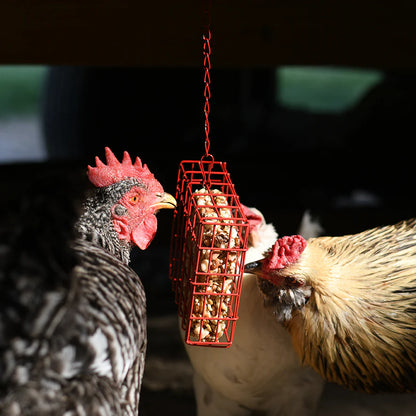 Happy Hen Treat Square Basket | Hanging Chicken Treat Holder