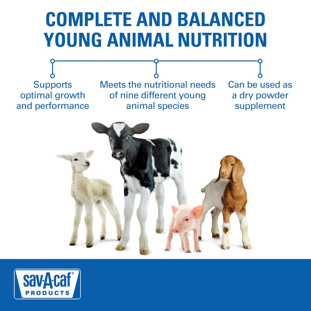 Sav-A-Caf Ultra 24 Multi-Species Milk Replacer | Complete Nutrition for Young Animals | 8 lb
