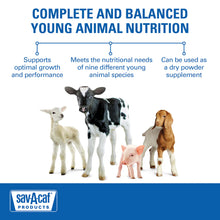 Sav-A-Caf Ultra 24 Multi-Species Milk Replacer | Complete Nutrition for Young Animals | 8 lb