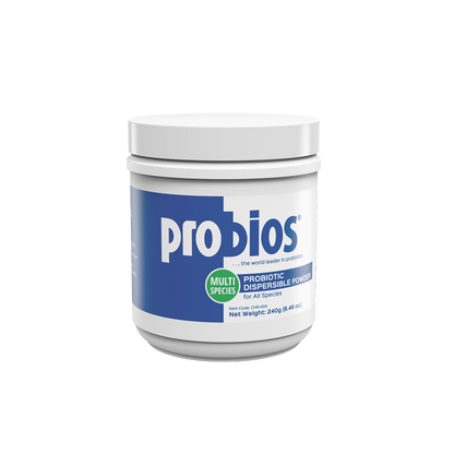 Probios Dispersible Powder – Multispecies Probiotic for Digestive Health