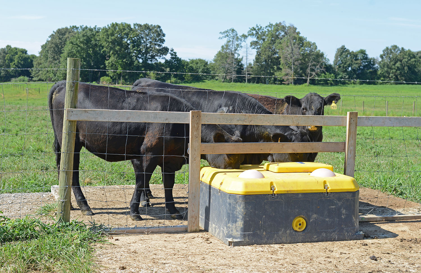 Tru Test WaterWell Energy Free Ball Cattle Waterer | Freeze Resistant & Jobe Valve