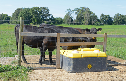 Tru Test WaterWell Energy Free Ball Cattle Waterer | Freeze Resistant & Jobe Valve