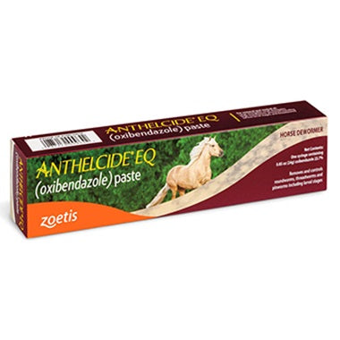 Zoetis Anthelcide EQ Paste Dewormer for Horses | Oxibendazole