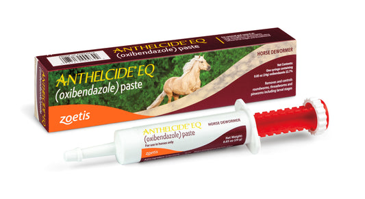 Zoetis Anthelcide EQ Paste Horse Dewormer with Oxibendazole, 1 Dose Syringe