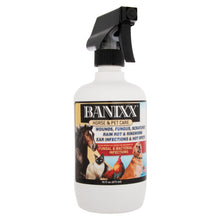 Banixx Horse & Pet Care Spray | Antimicrobial & Antifungal Treatment | 16 oz.
