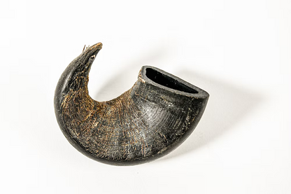 QT Dog Water Buffalo Horn Dog Chews | All-Natural, Long-Lasting Rawhide Alternative