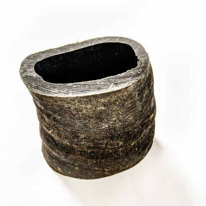 QT Dog Water Buffalo Horn Dog Chews | All-Natural, Long-Lasting Rawhide Alternative