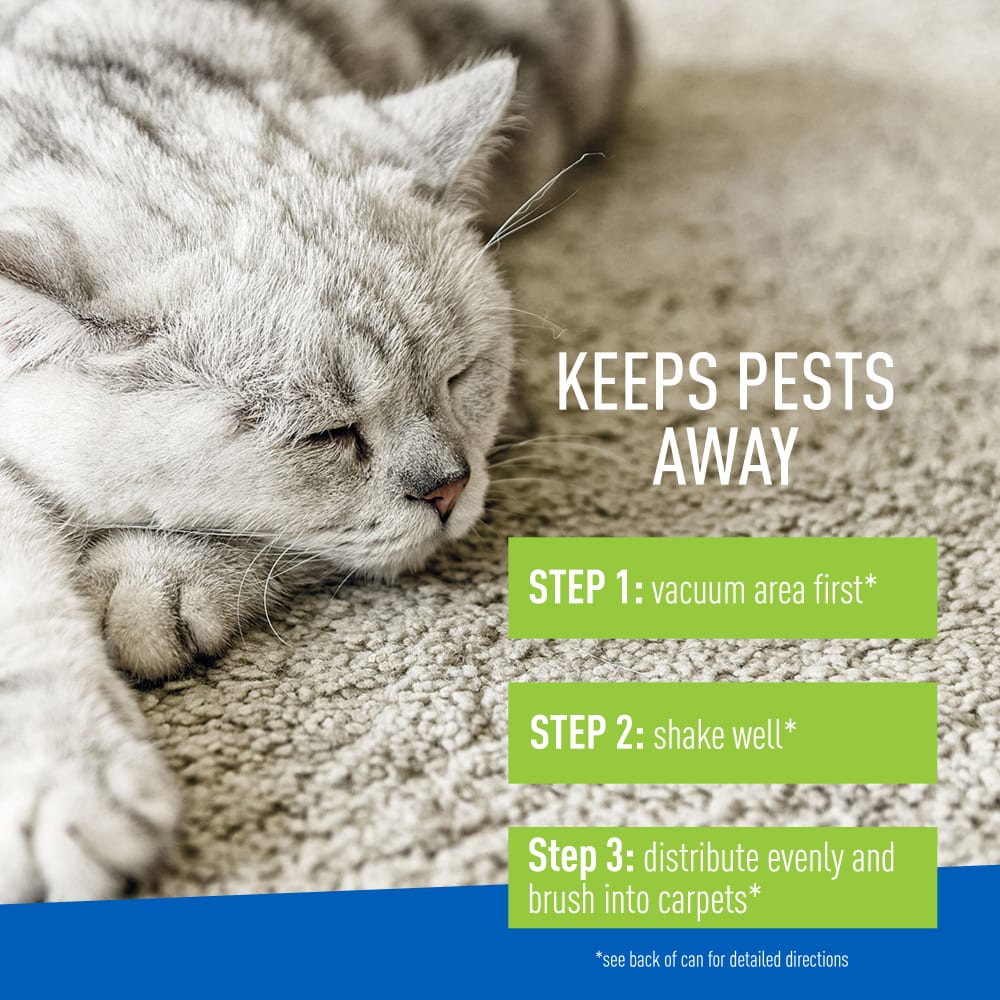 Adams Plus Flea & Tick Carpet Powder | Kills Fleas, Ticks, Eggs & Larvae | Citrus Scent | 16 oz