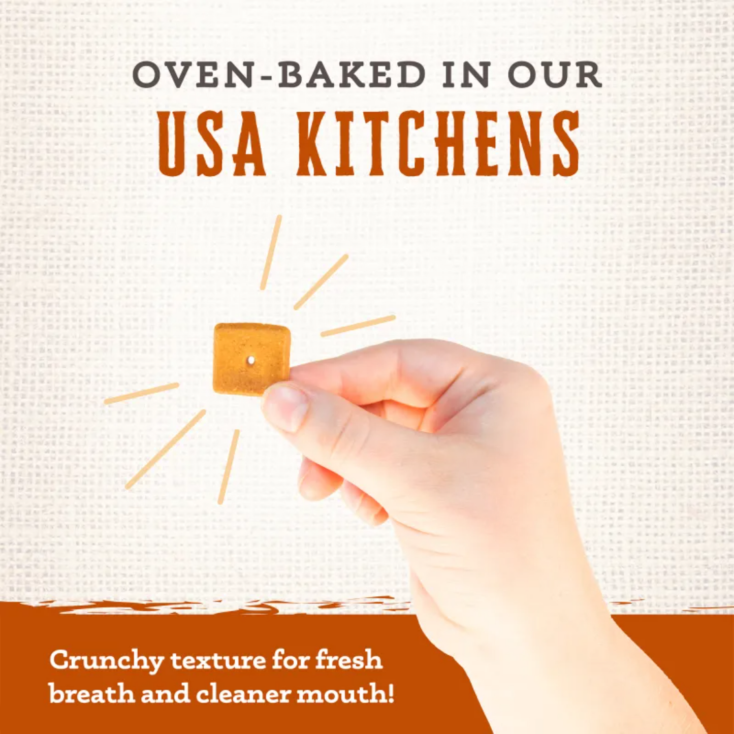 Wholesomes Gourmet Rewards Cheezy Bites Dog Treats | Crunchy Cheddar Biscuits, USA Made